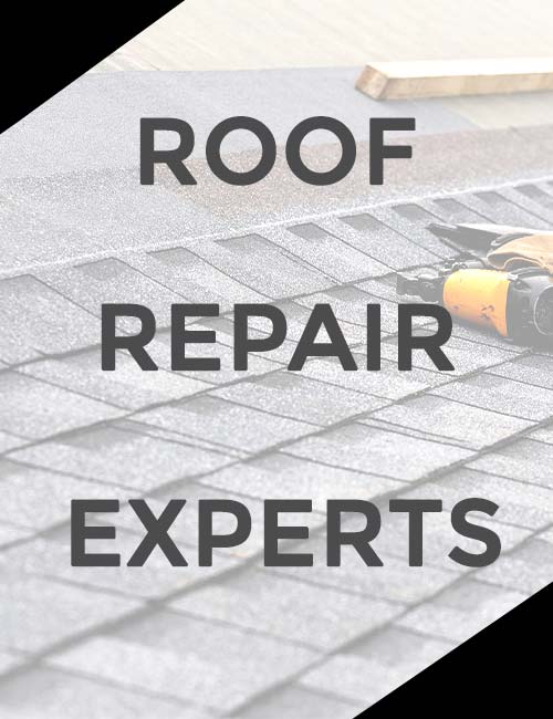 Total Roofing Solutions & Construction Images